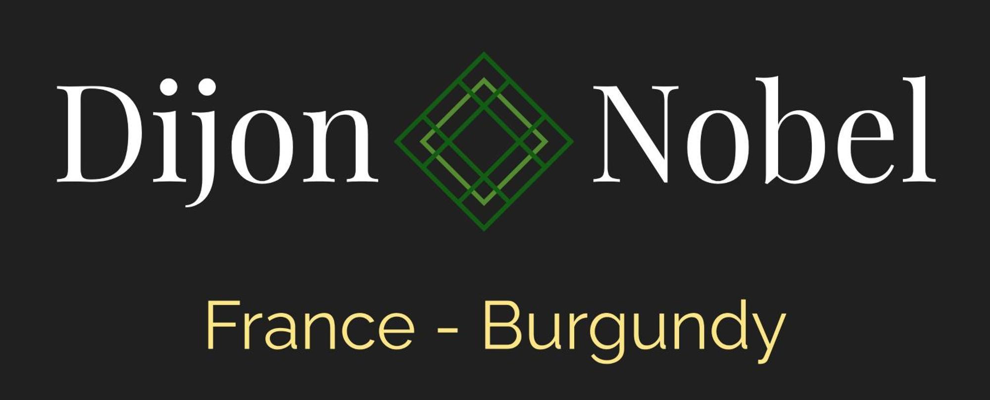 Апартаменты Dijon Nobel Экстерьер фото